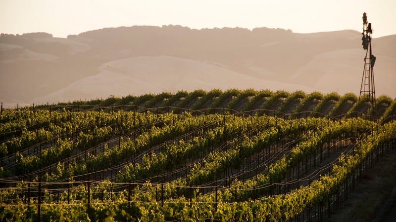 Tidal Grow completes U.S. rollout of Spectra biofertiliser with California approval