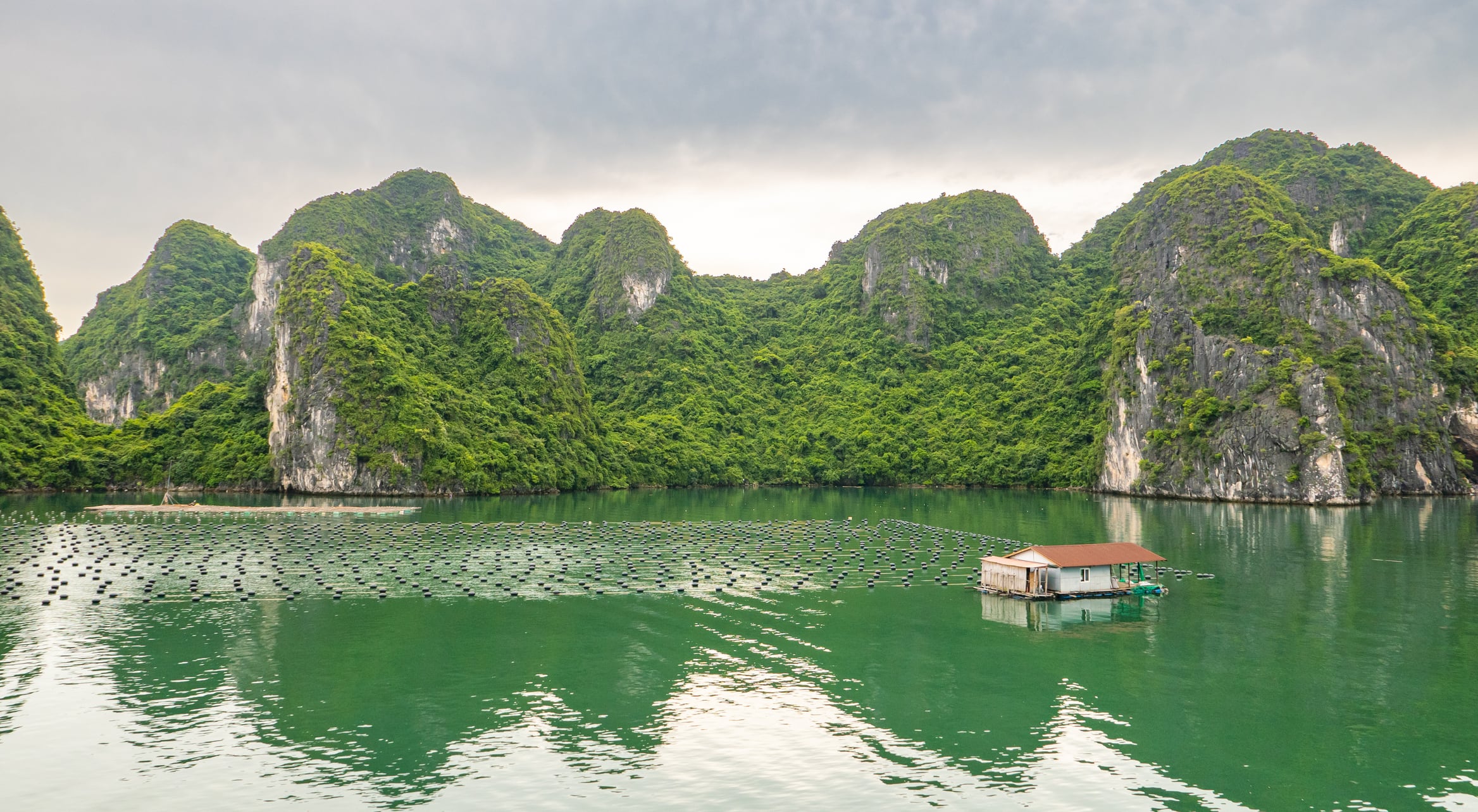 Halong Bay, Vietnam - August 26, 2023: Oyster pearl farm