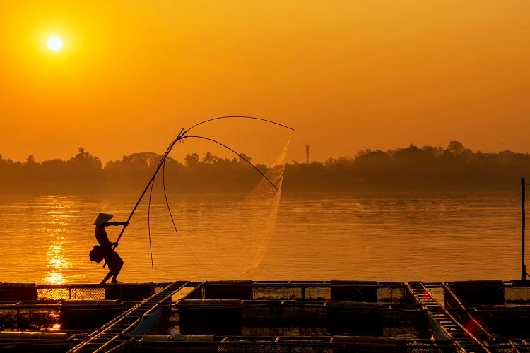 tilapia-Thirawatana-Phaisalratana.jpg