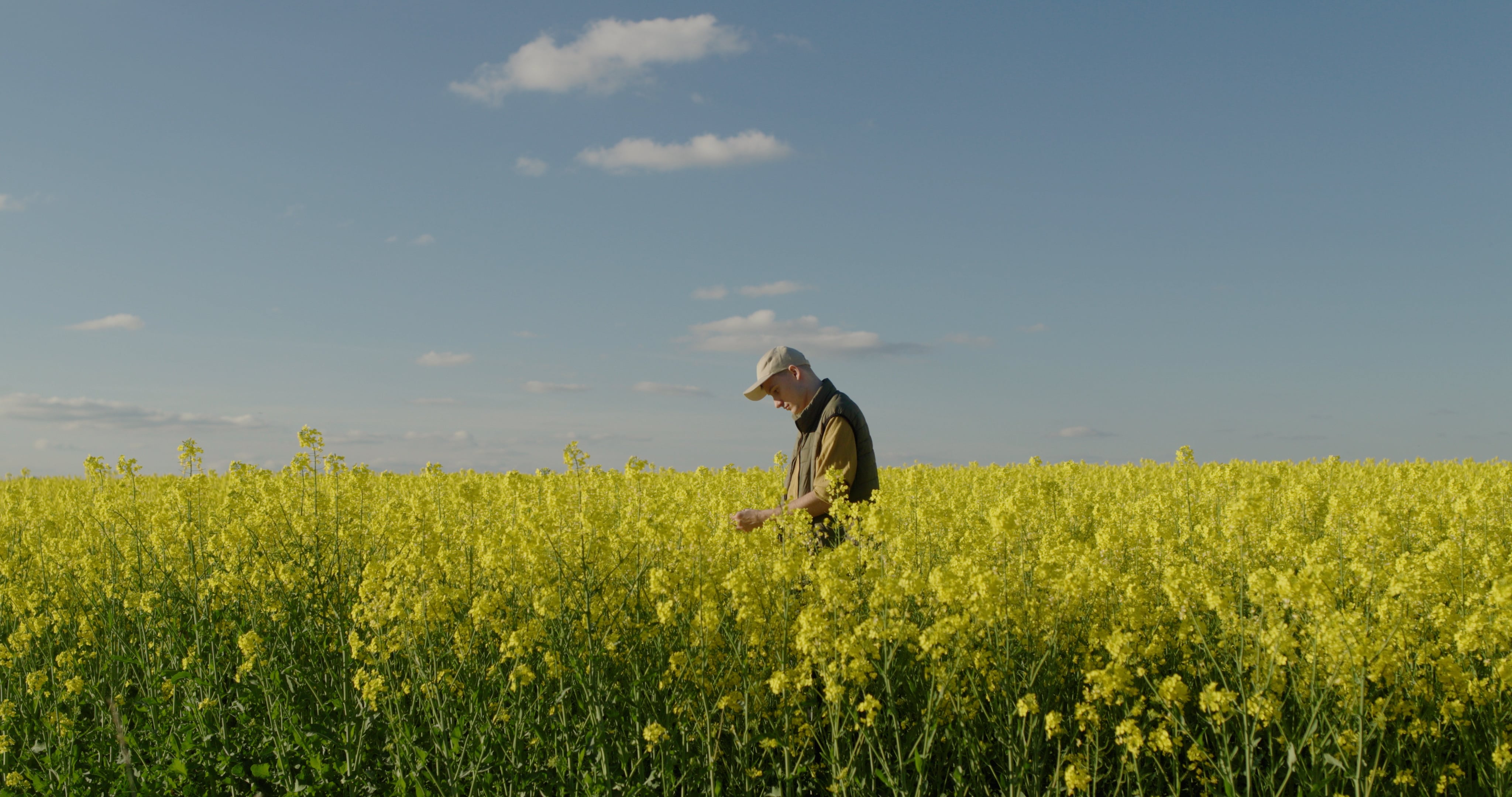 As interest in oilseed rape returns, growers are looking for new ways to protect vulnerable seedlings from pest damage and improve crop establishment.