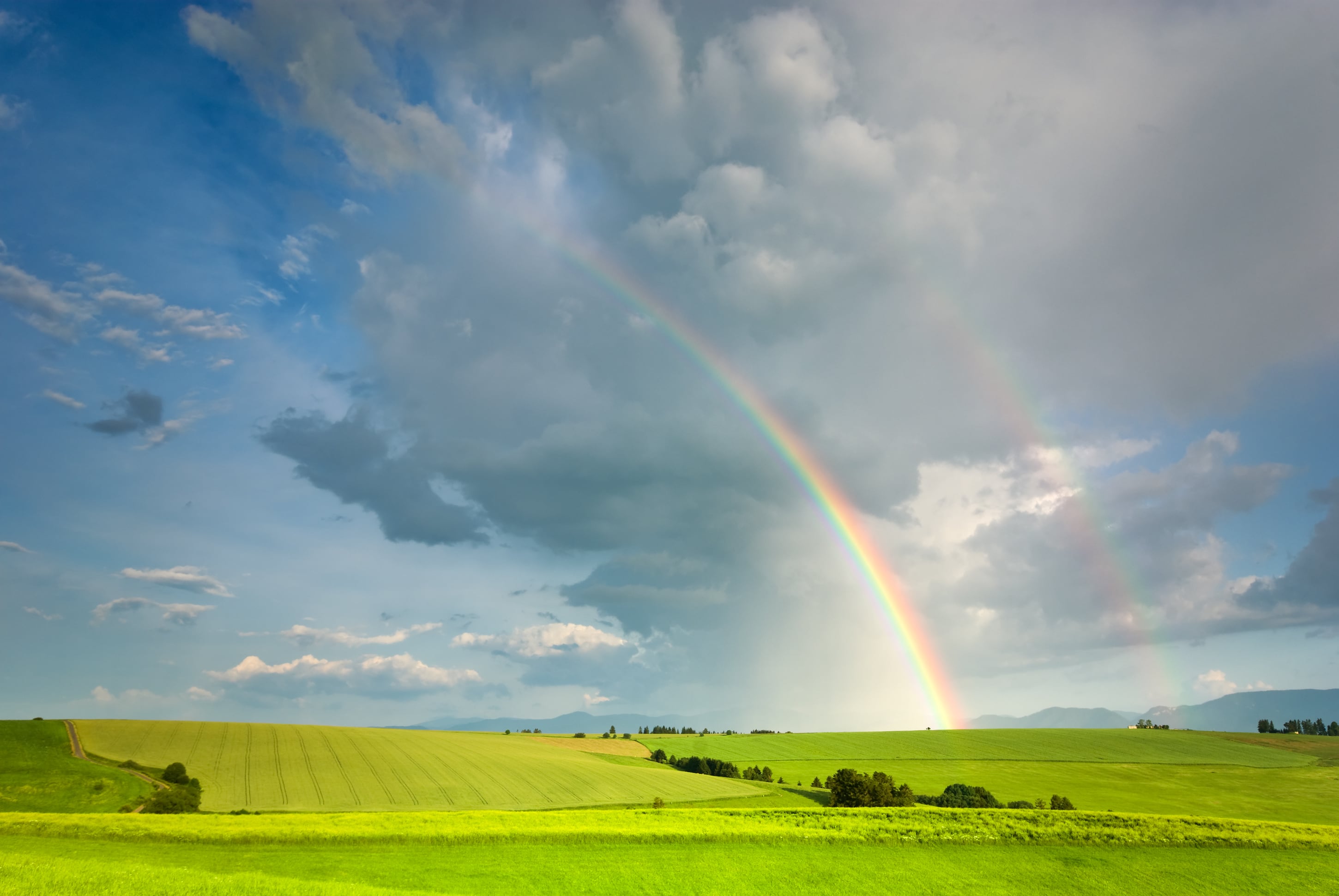 Is 2025 the year of reset for agtech?