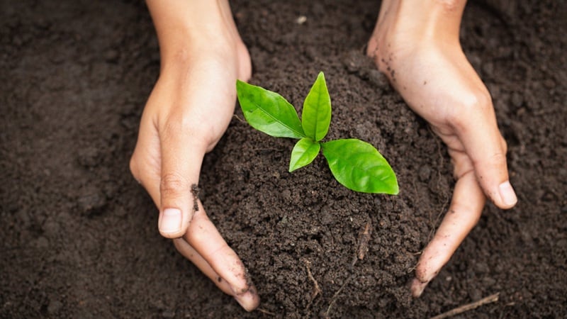 Improving soil health, peanut production with microbes: ProGro Bio launches Rhizol JumpStart, Phoenix
