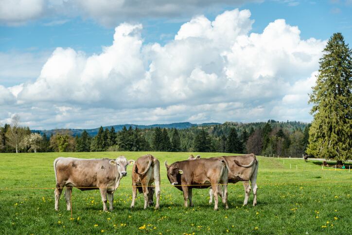 Soil Capital raises €15 million to boost agricultural transition