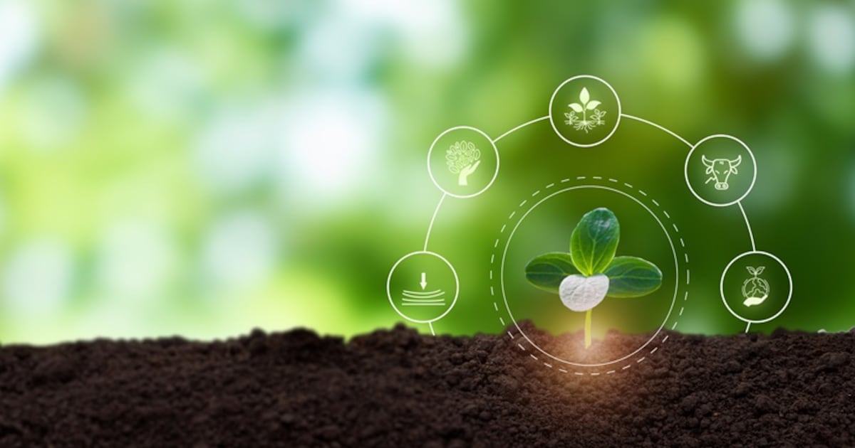 apanese scientists uncover microbial clues behind disease-resistant organic farmland