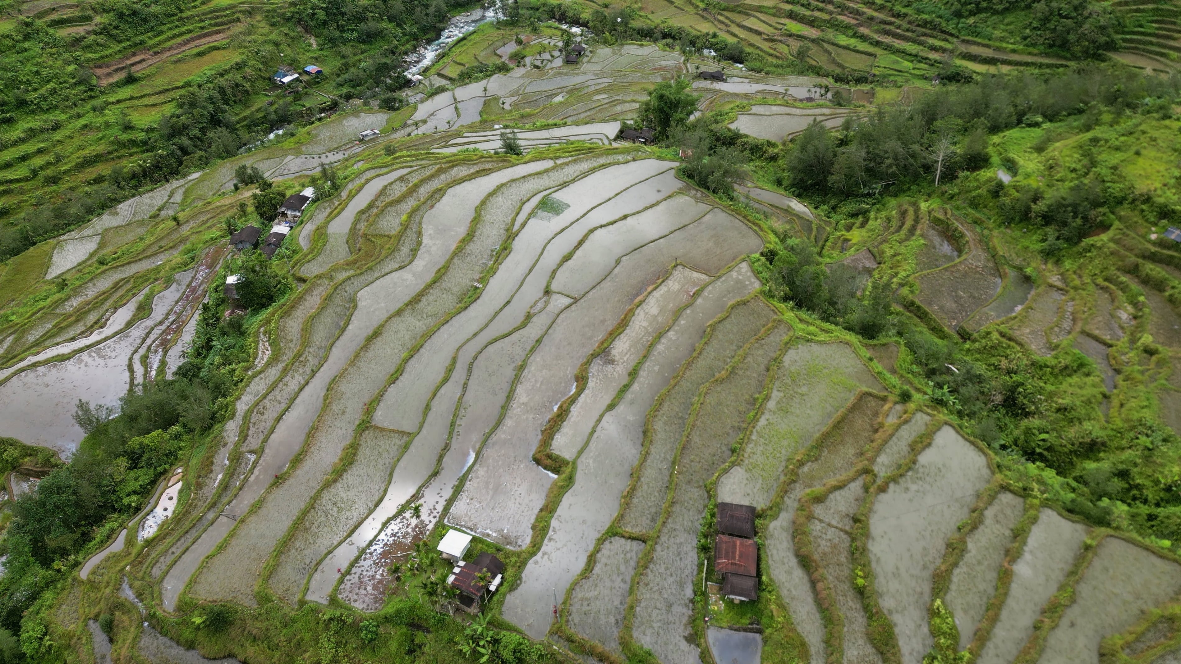 Aerial view of picturesque Rice Terraces in Philippines