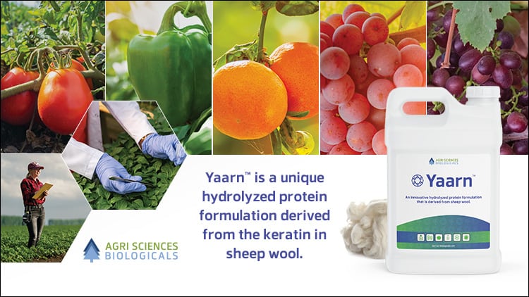The Yaarn Field Trial