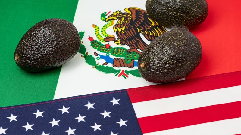 Avocados and the U.S. and the Mexican flags