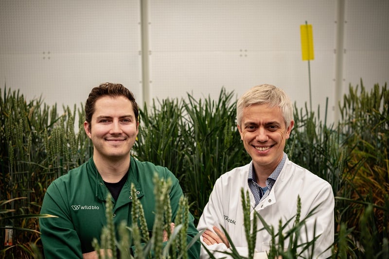 Wild Bio raises $60m to supercharge photosynthesis with AI-powered precision breeding