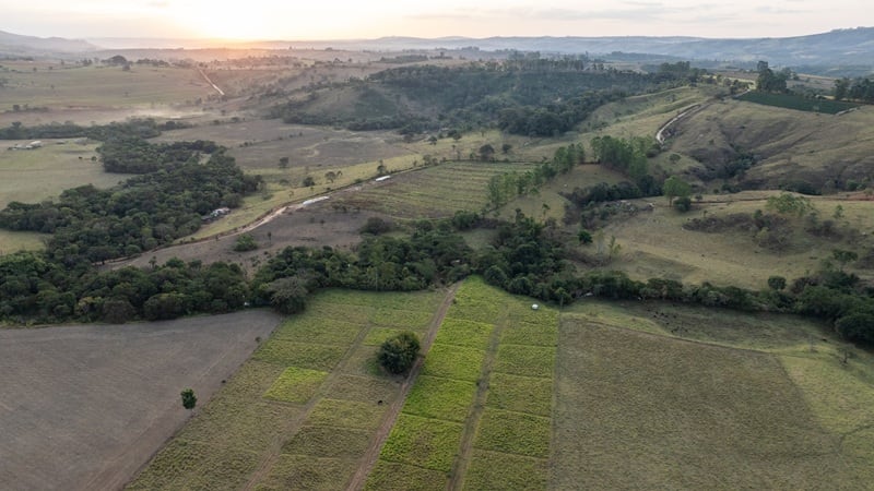 Regen ag in Brazil: PepsiCo partners with Griffith Foods, Milhão to incentivise sustainable farming practices