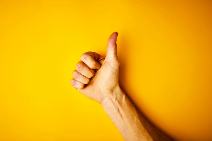 EFSA give thumbs up to DSM’s methane-reducing feed additive
