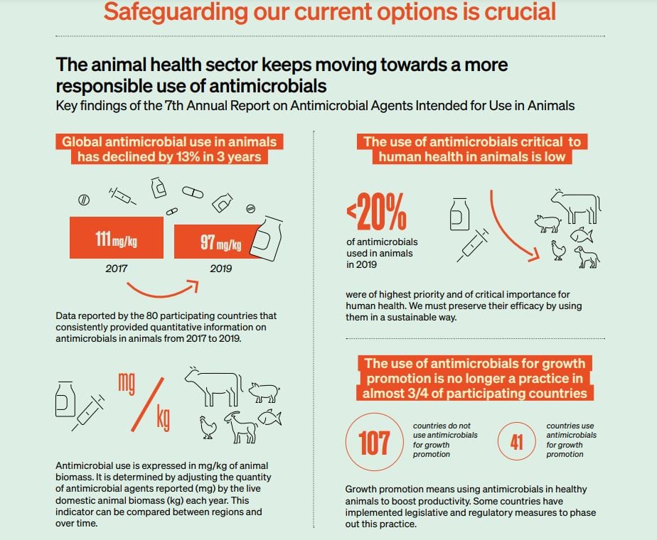 WOAH-report-key-findings.jpg