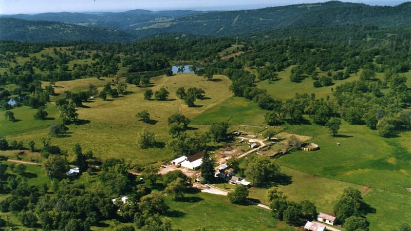 Regen ag in practice: How a California rancher used sustainable farming practices to improve animal welfare