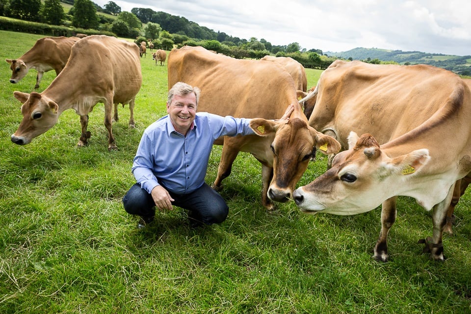 Mootral looks to open new market in carbon offset linked to methane emissions reduction