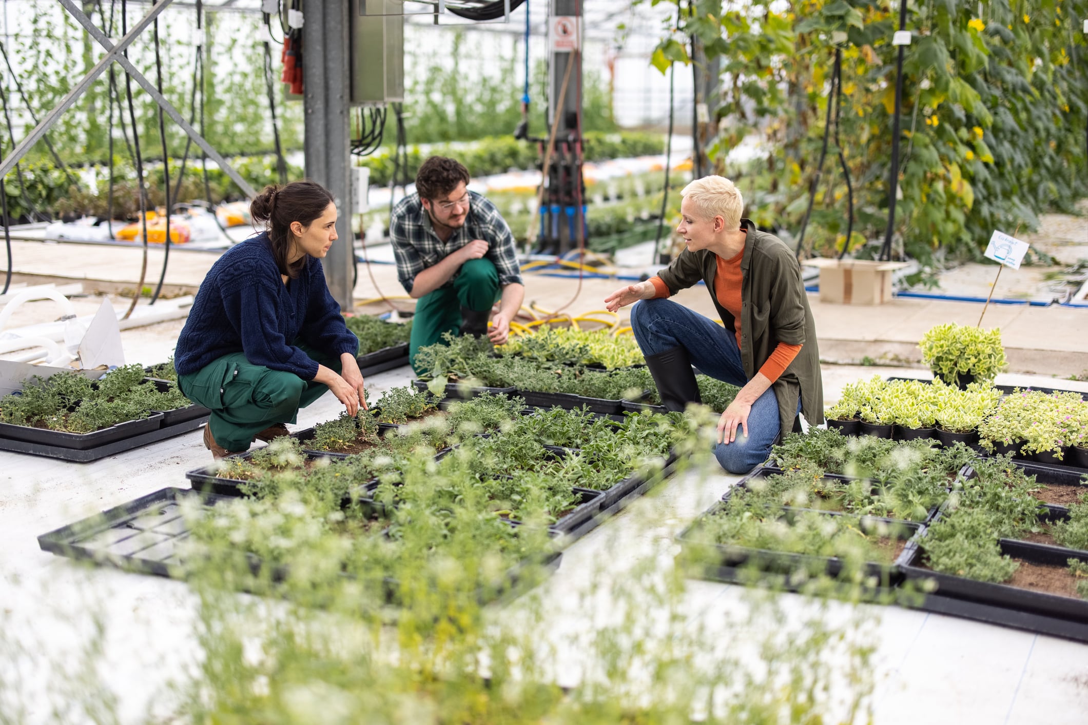 Share the load: Why agtech collaborations would benefit from cross-disciplinary integration