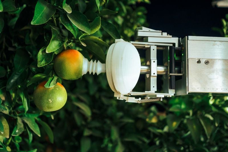 Spanish citrus orchards are set to become a key testing ground for Nanovel’s AI-powered harvesting robots as the company seeks to prove that autonomous systems can accurately pick fruit hidden within dense canopies at commercial scale.
