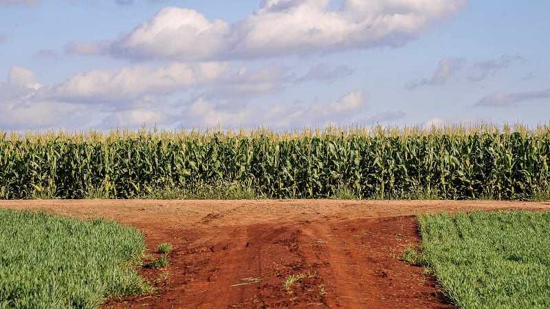 Lucent Bio readies Brazil expansion, following research paper release