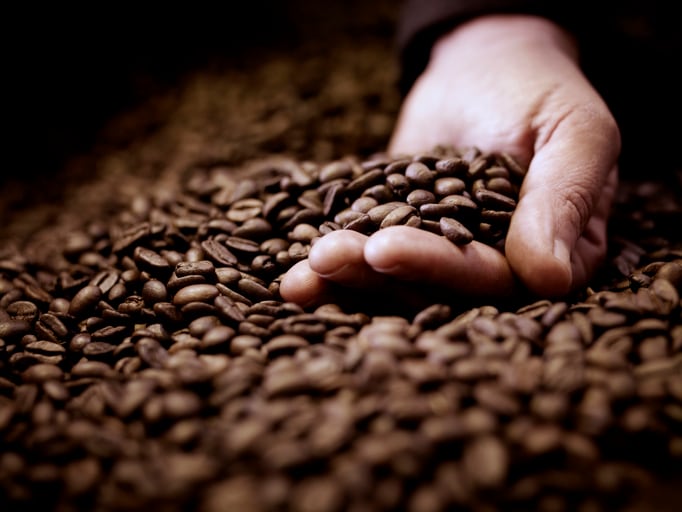 Route to growth: Philippines sets aside $40.6m for farm-to-market roads to boost coffee production