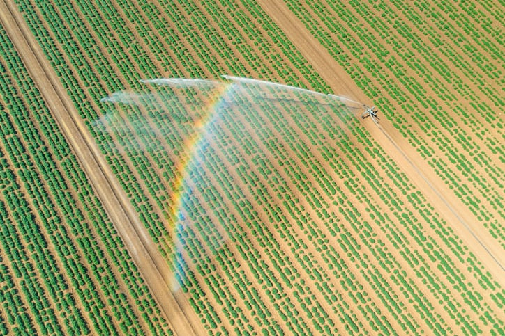 Commission announces U-turn on bill to slash pesticide use in EU