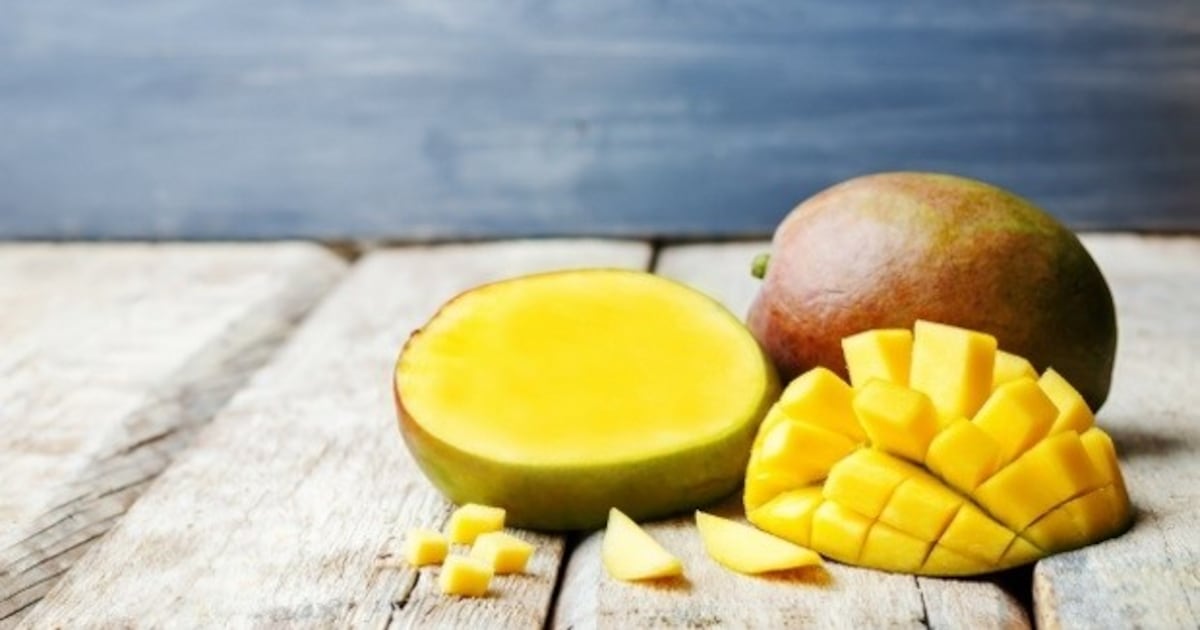 Coffee, cocoa, watermelon and mango at risk due to loss of insect ...
