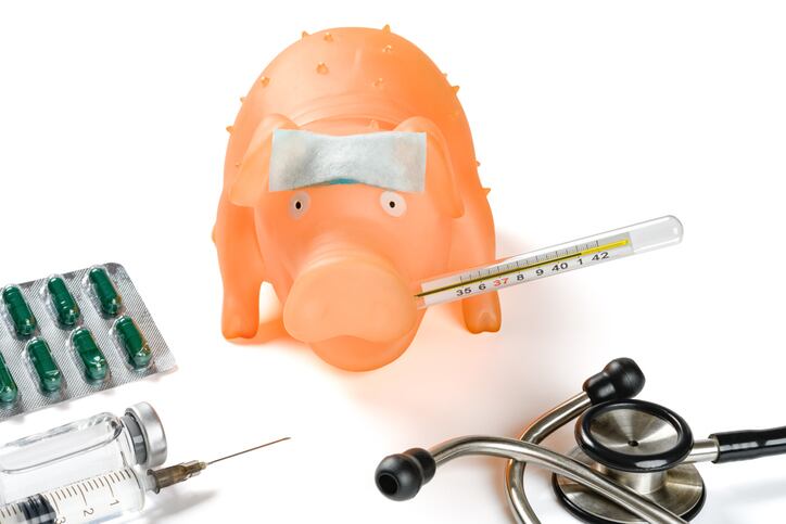 Chinese-researchers-develop-vaccine-to-protect-pigs-against-ASF.jpg