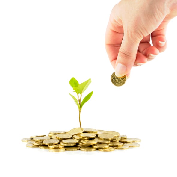 Inseco raises $5.3m in seed funding, South African insect protein player looks to scale