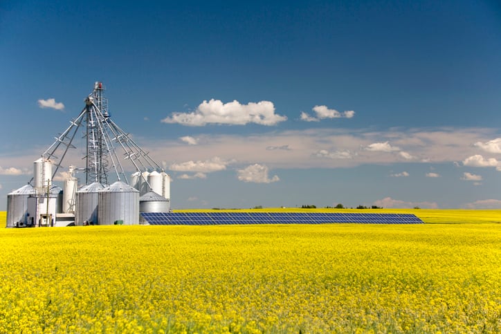BASF-is-looking-to-enable-canola-production-under-harsher-conditions.jpg