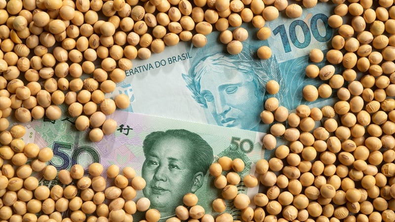 Brazil breaks ag export records in 2025, as EU-Mercosur deal opens opportunities for 2026