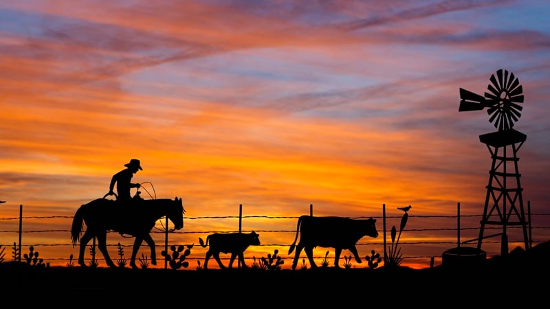 Ranchers against the horizon