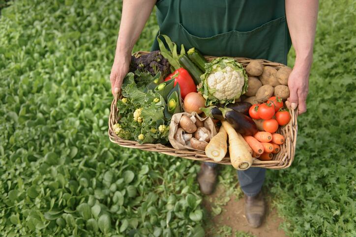 Fresh calls to clear up confusion between 'organic' and 'regenerative' farming