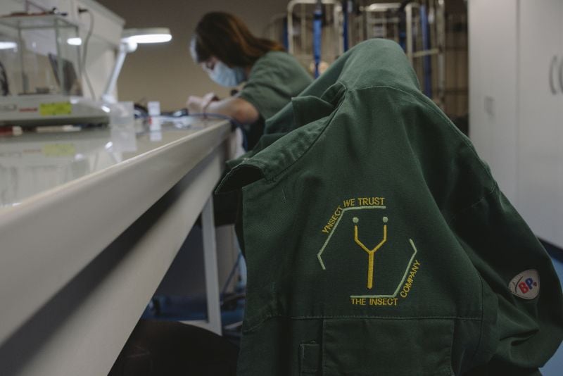 Ÿnsect’s collapse raises big questions: Is feed and fertiliser the future of insect farming?