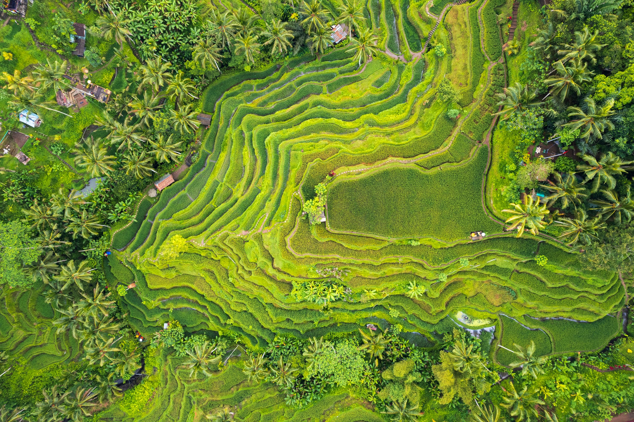 Reality check: ASEAN leaders want stronger ag finance systems as climate risks intensify