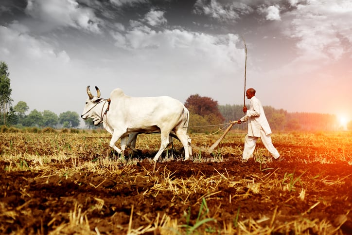 India: Are the bets back on?