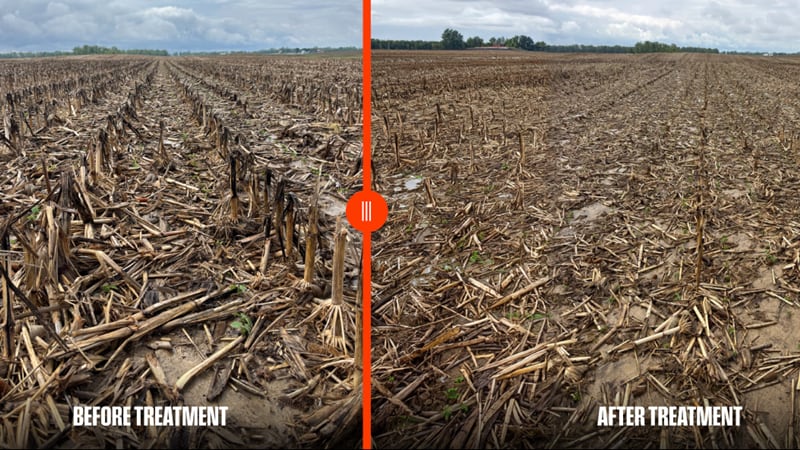 A field before and after treatment with Renuvis Enzara