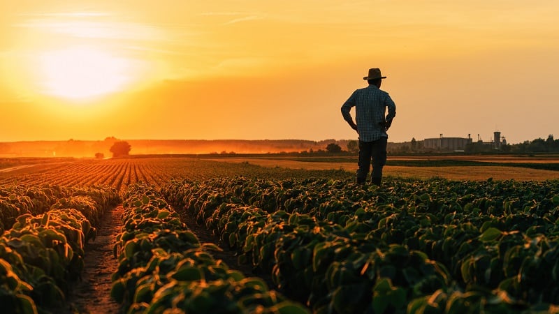 Biologicals aren’t just ‘the flavor of the month:’ Summit Agro taps into growing demand