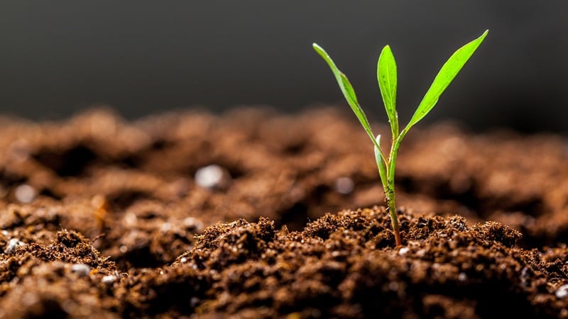 AI, biotech, climate response: Korea reveals $160m R&D investment plan across five key areas