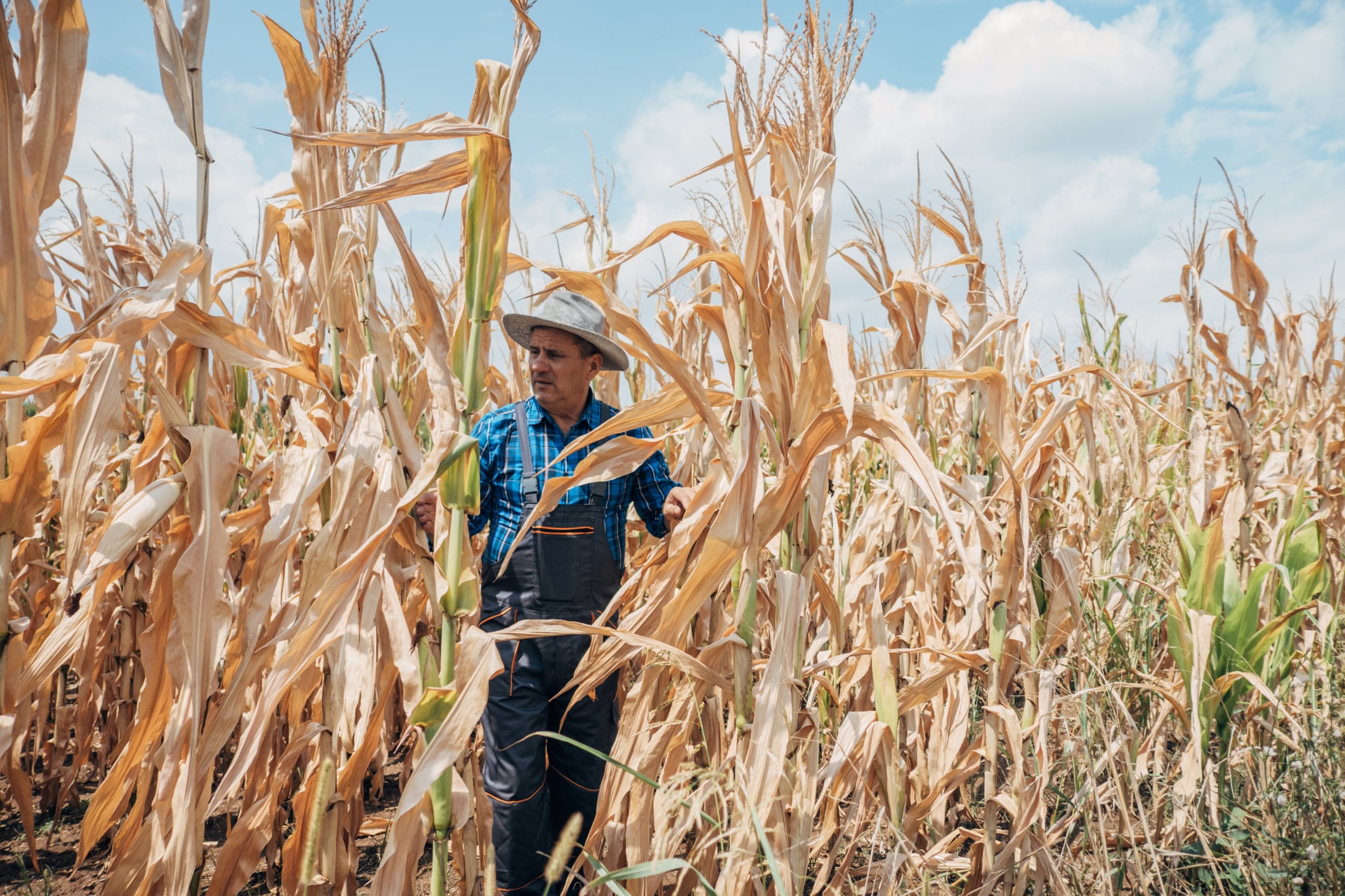 As water scarcity becomes an increasingly important issue for both agriculture and wider society, Elicit Plant’s Jean-François Duchamp expects technologies that improve water efficiency and crop resilience to play a growing role in farming systems worldwide.