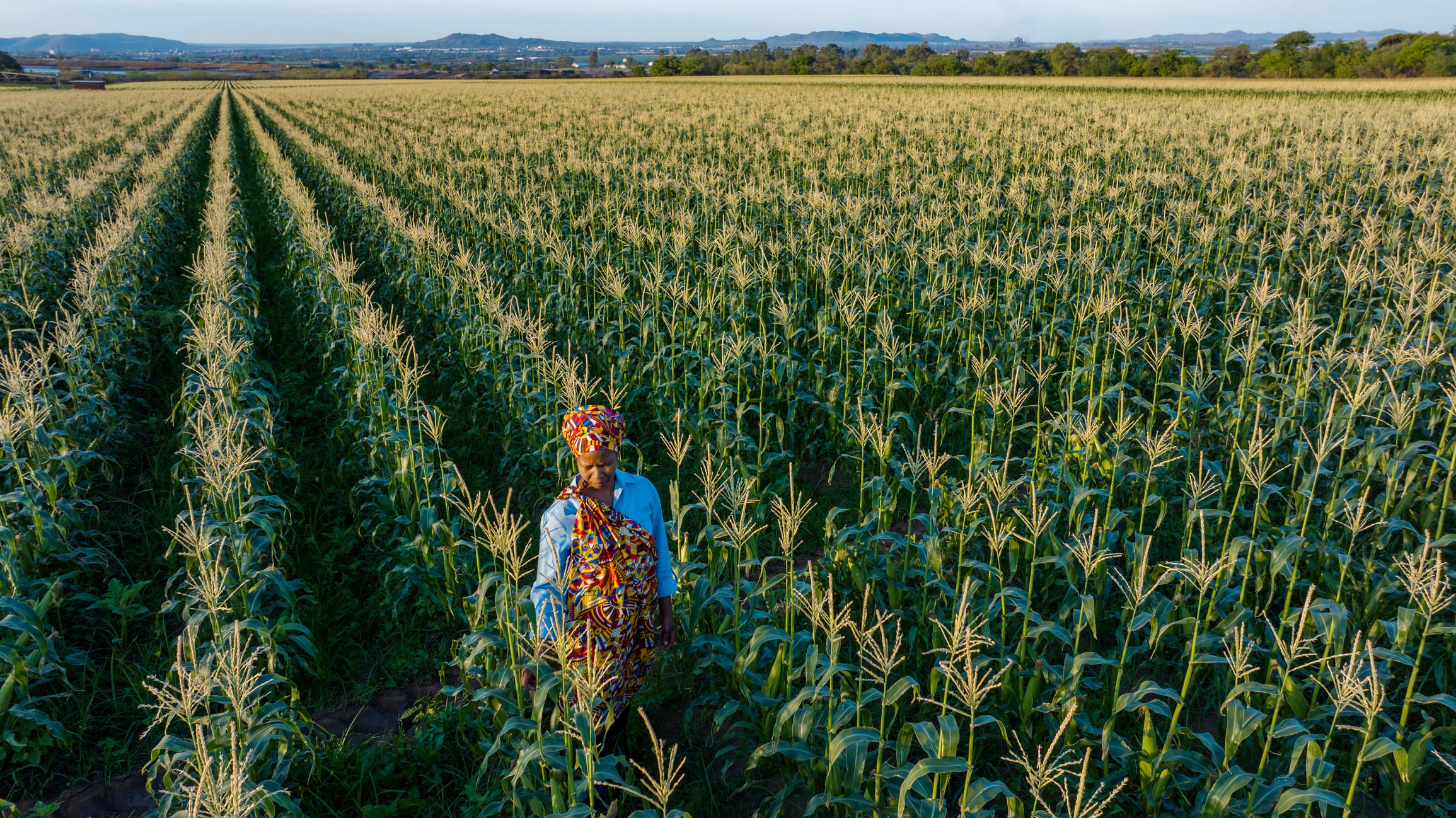 World Bank-backed fund launches $163m push as ‘perfect storm’ fuels global hunger