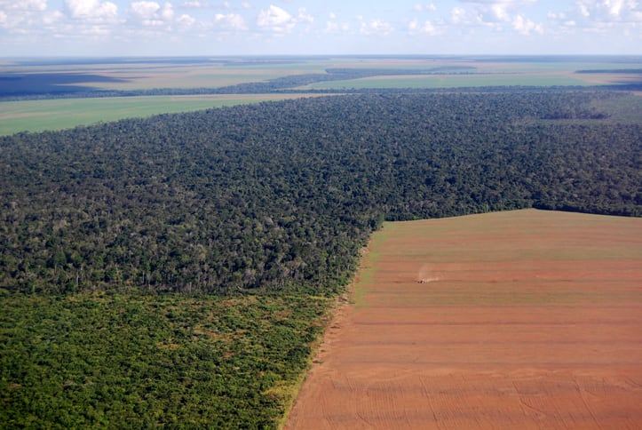 Norwegian salmon farmers kiss Brazilian soy goodbye 