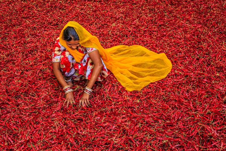 16th ASC unveils urgent need for innovation to drive agri-food sustainability in India