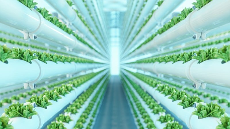 ‘The brain’ of agtech: Siemens, Artisan Green highlight Singapore’s major vertical farming potential