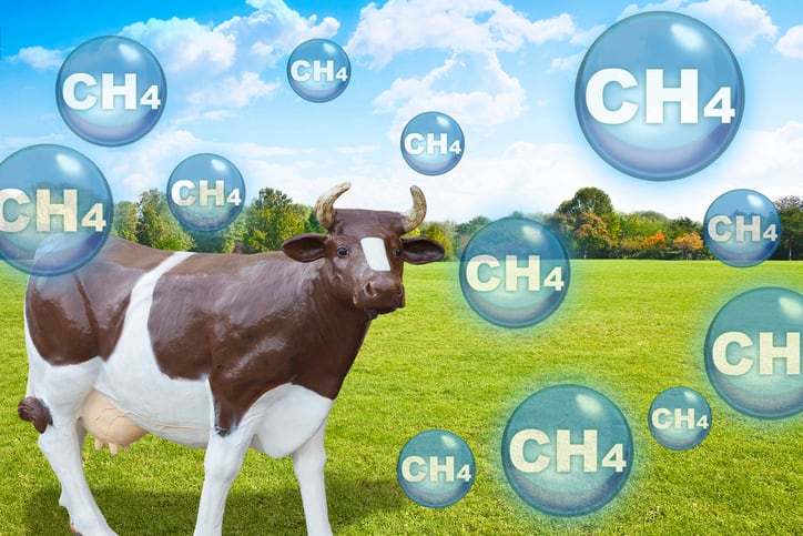 How is the toolkit for methane emissions reduction in dairy and beef cows expanding?