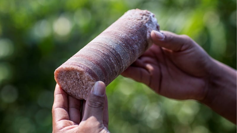 How Brazil Potash is helping the LatAm country become fertiliser independent