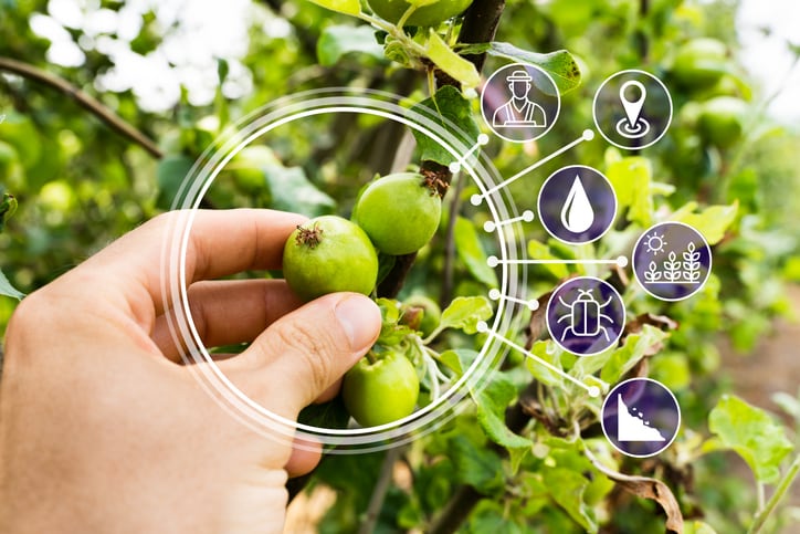 Start-up enabling precision crop management with robots and AI raises $3.8m