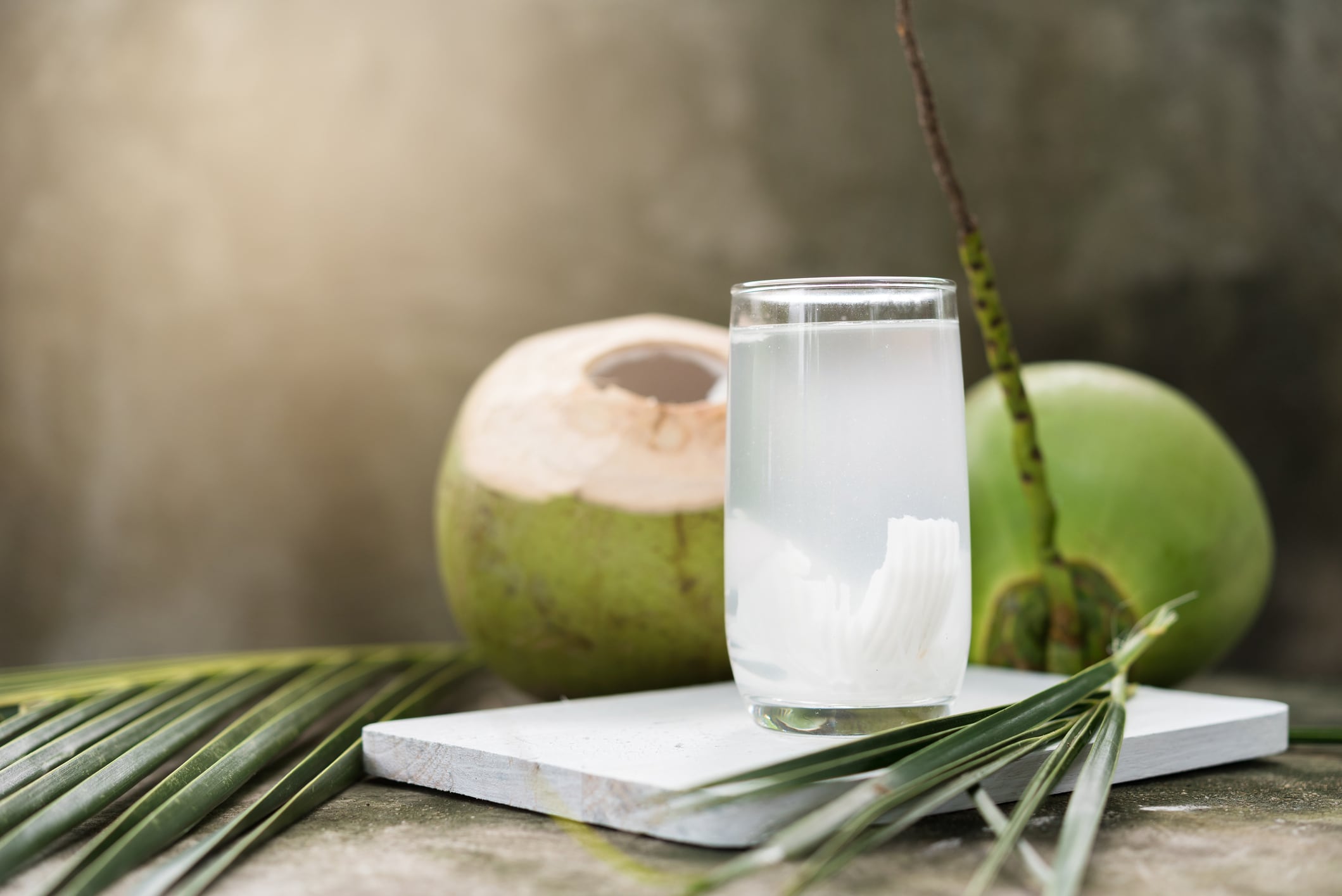 Herbs and biologicals: Vietnam’s coconut industry aims to boost global competitiveness with sustainable cultivation