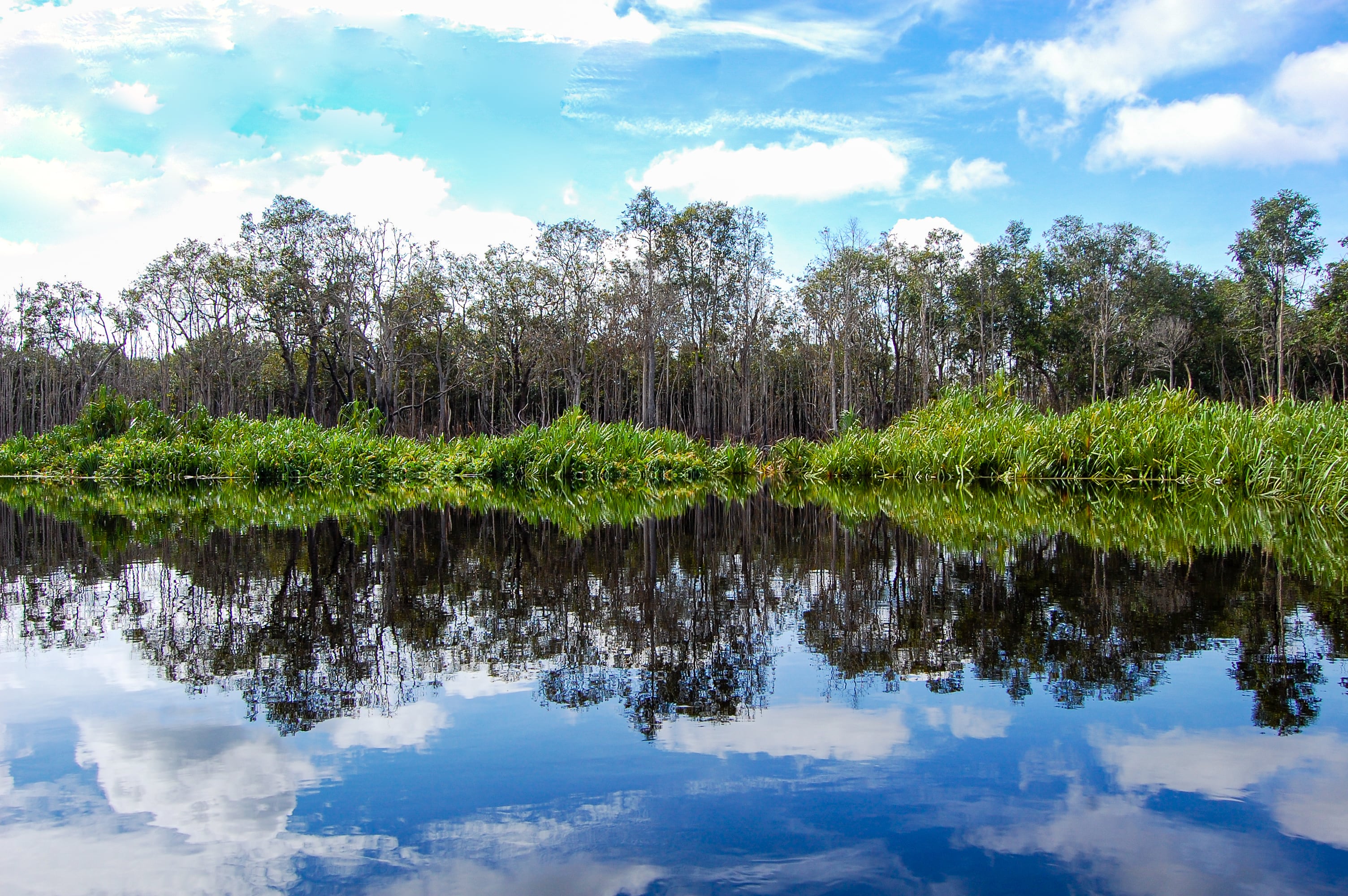 ‘Sleeping giant’: Urgent need to understand vulnerable fisheries in Indonesian peatlands