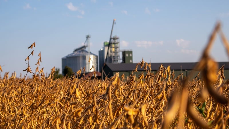 ‘Bunge is built for complexity and change:’ Ag giant responds to supply chain shocks