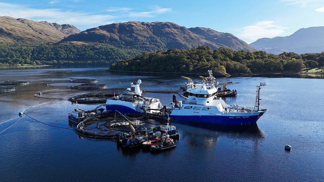 loading-post-smolts-at-Loch-Etive.jpg