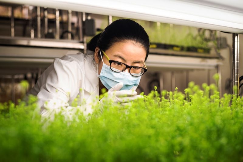 Syngenta’s latest earnings suggest it is prioritising profitability over volume, with premium crop protection technologies, biologicals, digital agriculture and AI increasingly shaping the group’s growth strategy.