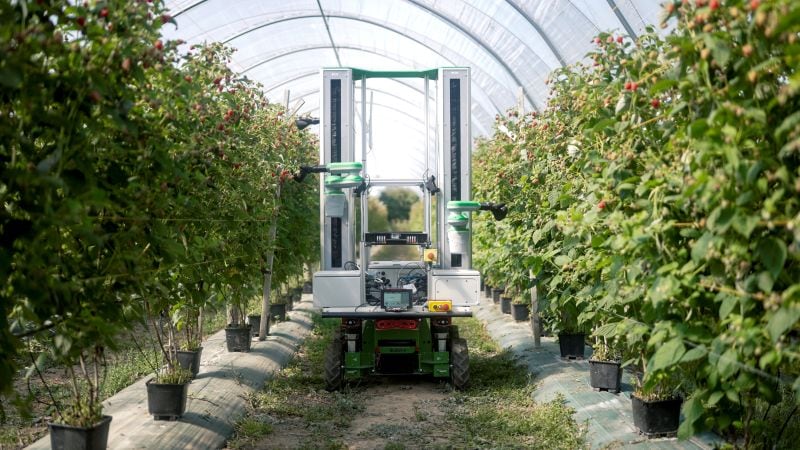 Fieldwork Robotics raises £3m to take autonomous harvesting from pilot plots to everyday farm operations