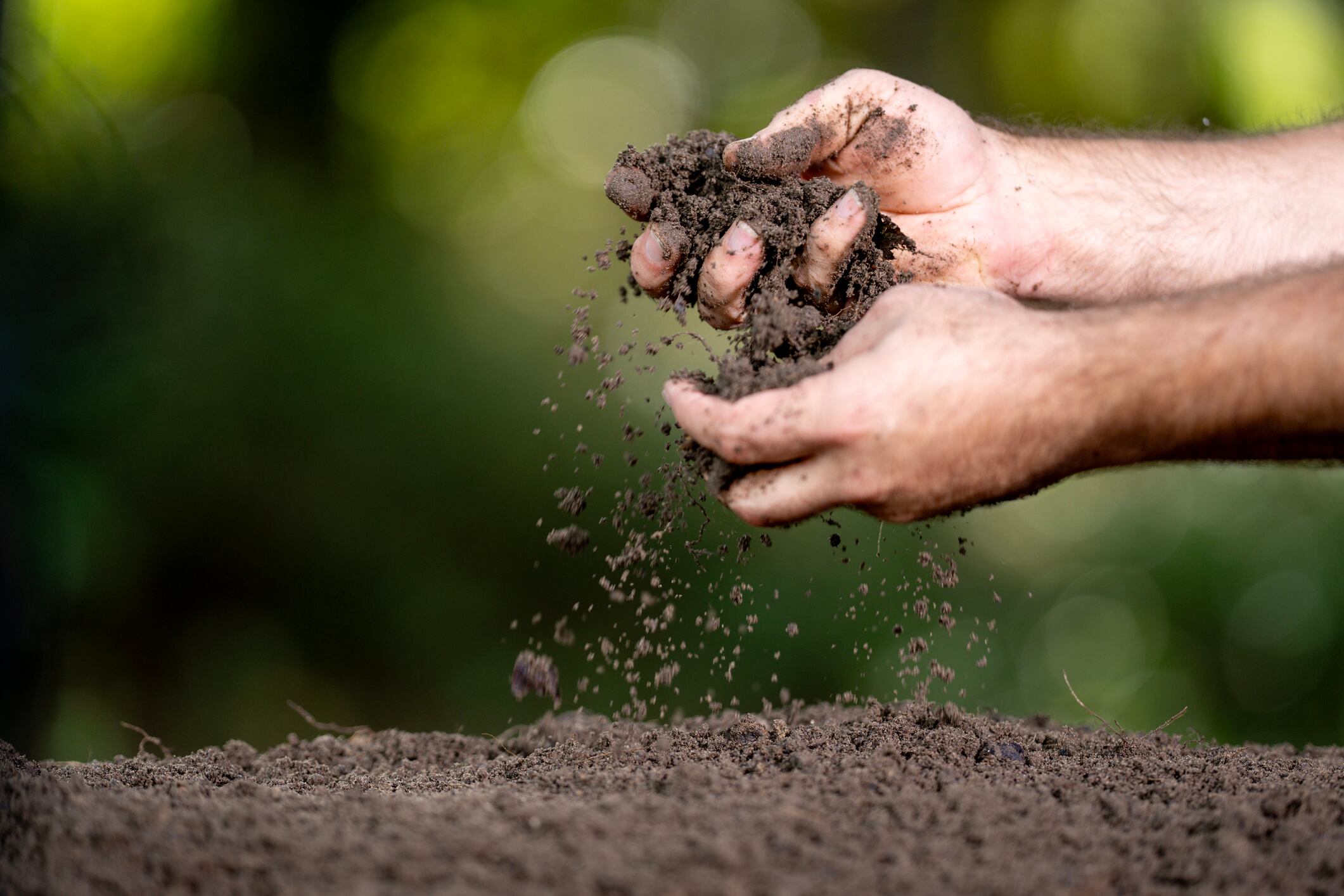 Soil concept. Hands holding fertile soil. Checking soil. Dirty clay and organic compost. Eco farming with natural soil. Humus quality. Farmer testing compost